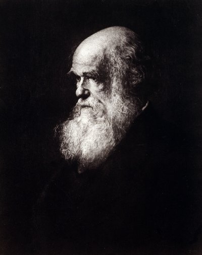 Portrait de Charles Robert Darwin (1809 - 1882) - Unknown artist
