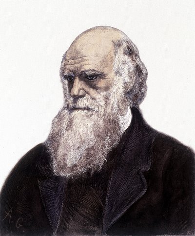 Portrait de Charles Robert Darwin, naturaliste britannique (1809-1882) - Unknown artist