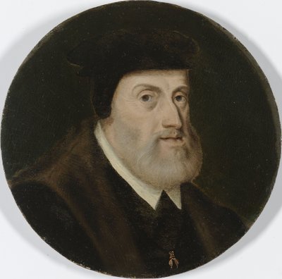Portrait de Charles V, vers 1550 - Unknown artist
