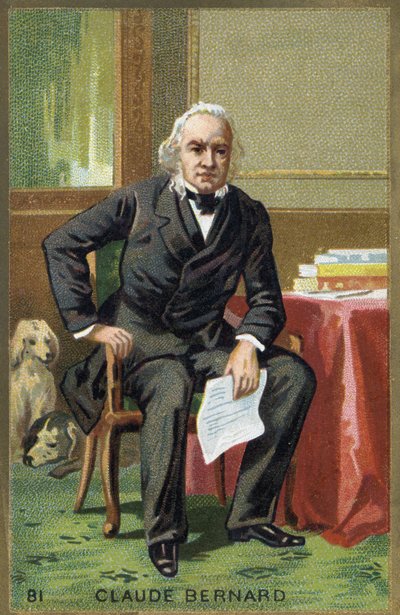 Portrait de Claude Bernard (1813-1878), physiologiste français - Unknown artist
