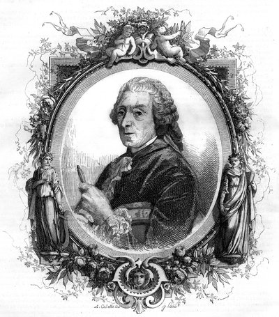 Portrait du peintre anglais François Boucher (1703-1770) - Unknown artist