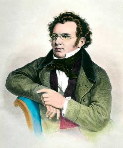 Portrait de Franz Schubert, compositeur autrichien. Gravure du XIXe siècle. Collection privée - Unknown artist