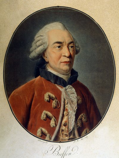 Portrait de Georges Louis Leclerc, Comte de Buffon (1707 - 1788), naturaliste et écrivain français. - Unknown artist