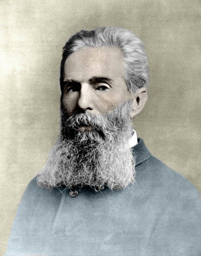 Portrait de Herman Melville (1819-1891) romancier américain - Unknown artist