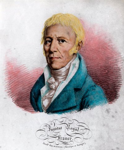 Portrait de Jean Baptiste Lamarck (1744-1829), naturaliste français. Gravure du 19ème siècle. - Unknown artist