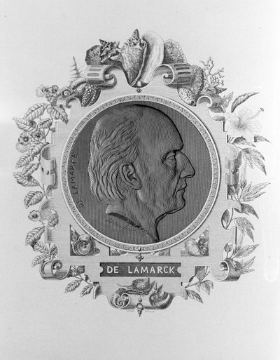 Portrait de Lamarck (1744 - 1829) - Unknown artist