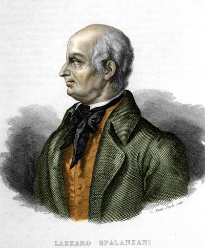 Portrait de Lazzaro Spalanzani, biologiste italien - Unknown artist