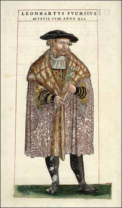 Portrait de Leonhart Fuchs : botaniste - médecin allemand (1501 - 1566) - dans « De Historia Stirpium commentarii badges,... » par Leonhart Fuchs - Unknown artist
