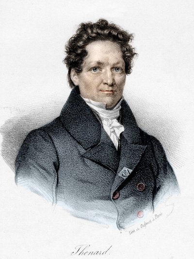 Portrait de Louis Jacques Thénard (1777-1857), chimiste français - Unknown artist