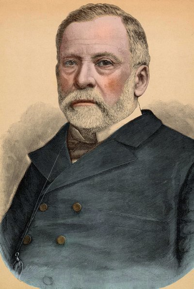 Portrait de Louis Pasteur (1822-1895), chimiste et biologiste français - Unknown artist