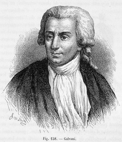 Portrait de Luigi Galvani, médecin et physicien italien (1737 - 1798) - dans "Magnétisme et Électricité" par Amédée Guillemin - Unknown artist