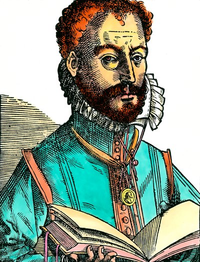 Portrait d