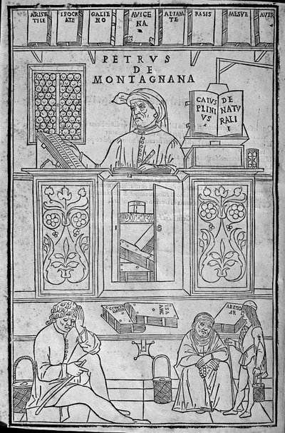 Portrait de Pietro da Montagnana, professeur de médecine padouan - Unknown artist
