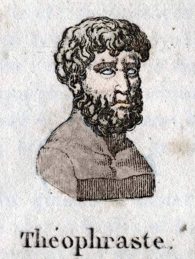 Portrait de Théophraste (372 av. J.-C. - 287 av. J.-C.), philosophe grec - Unknown artist