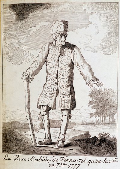 Portrait de Voltaire (1694 - 1778), écrivain et philosophe français, âgé - Unknown artist