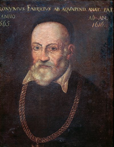Portrait de l