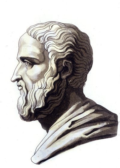 Portrait de l