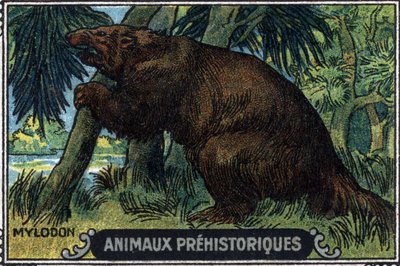 Animal préhistorique : un mylodon. - Unknown Artist