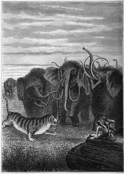 Préhistoire : Mammouths et chat géant des cavernes. Gravure de "Paris avant l