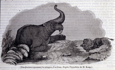 Préhistoire : représentation d