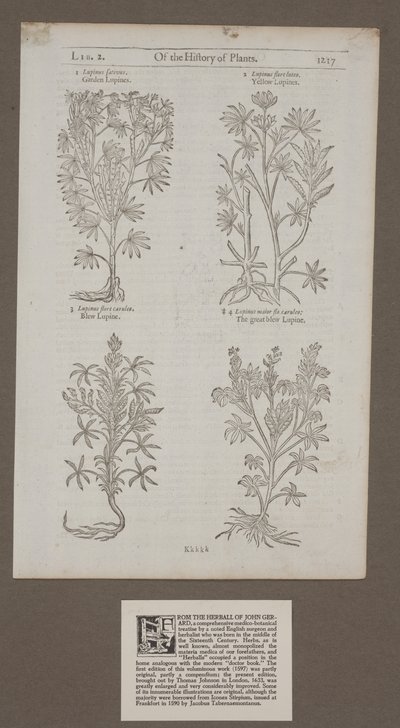 Page imprimée 1217 de 