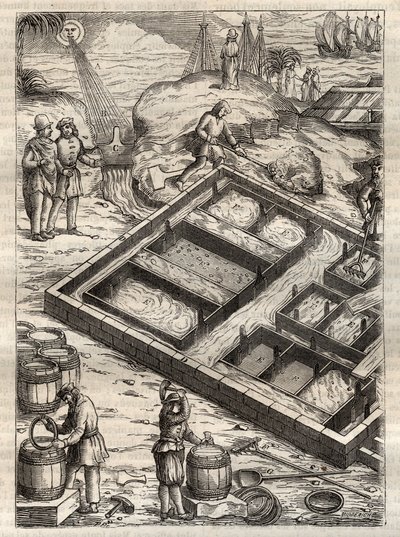 Production de sel par évaporation de l