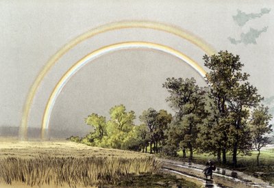 Arc-en-ciel - dans "L