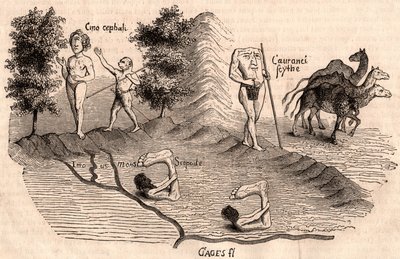 Représentation de tribus médiévales et d