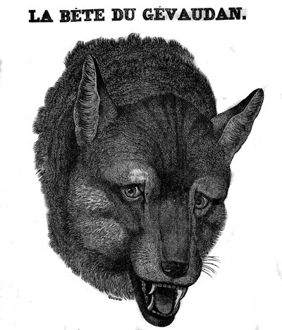 Représentation de la Bête du Gévaudan. - Unknown artist