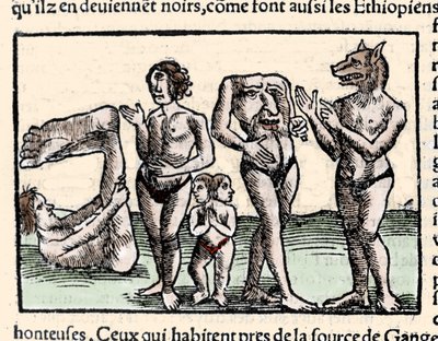 Représentation des monstres décrits par Amerigo Vespucci (1451-1512) : de gauche à droite : un manopod, un cyclope, un homme à deux têtes, un homme sans tête et un homme à tête de chien ou cynocéphale. Xylographie tirée de « Universal » de Sébastien Munste - Unknown artist