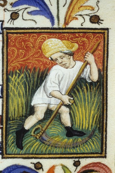Représentation du mois de juin. Un paysan fauchant du blé vert. Miniature d