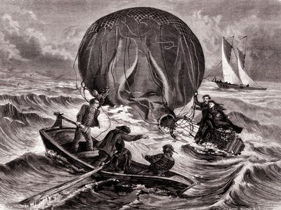 Sauvetage du bal Habs, monté par M. et Mme Durouf. Naufragé sur la côte d