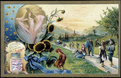 Coq chantant le lever du soleil - chromo. Liebig, début XXe siècle - Unknown artist