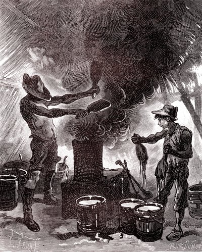 Préparation du caoutchouc ou vulcanisation dans la forêt brésilienne - Unknown artist