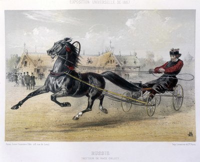Trotteur de race Orloff - dans "Le Centaure" 1867 - Unknown artist