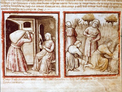 Ruth et Noémi travaillant dans les champs de Booz Miniature du codex 212 (ou codex padovano ou Bible de Padoue) - Unknown artist