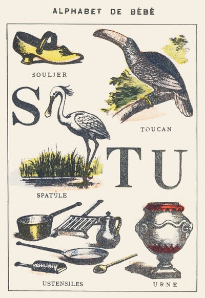 S T U: chaussure, spatule, toucan, ustensiles, urne - Unknown artist
