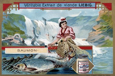 Pêche au saumon - chromo du 19e siècle - Unknown artist