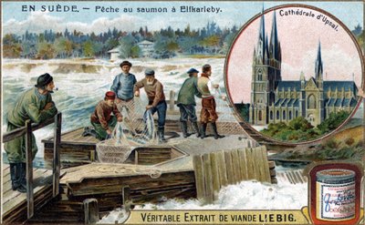 Pêche au saumon à Elfkarleby, Suède. Chromolithographie, image Liebig. - Unknown artist