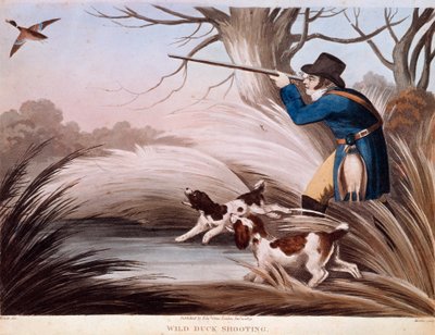 Scène de chasse au canard en Angleterre - Unknown artist