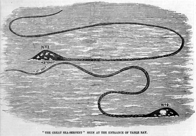 Serpent de mer vu en 1850 à l