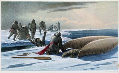 Chasse au phoque : chasse au phoque dans le golfe - Unknown artist