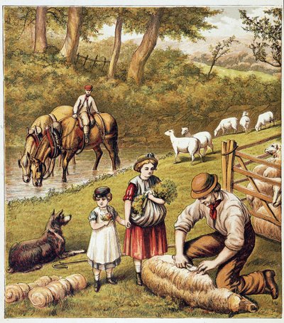 Tonte des moutons - chromolithographie - Unknown artist