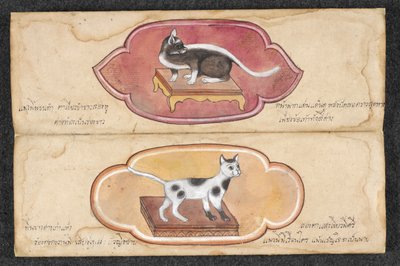 Chats siamois - Unknown artist