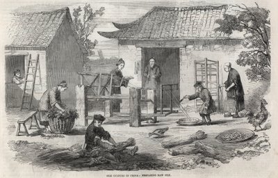 Production de soie en Chine et les différentes étapes de fabrication. - Unknown artist