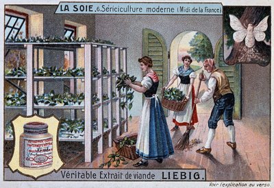 Soie : atelier de soie dans le sud de la France, publicité Liebig, v. 1895 - Unknown artist