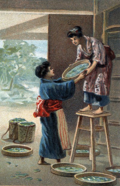 Élevage de vers à soie dans un aimant japonais. Chromolithographie de la fin du 19e siècle - Unknown artist