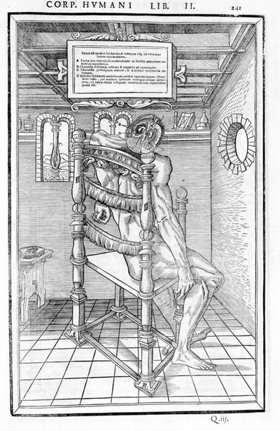 Coupe du crâne. Planche anatomique de « De dissectione partium corporis humani libri tres... » Carlo Stefano Riverio, Paris 1545 - Unknown artist