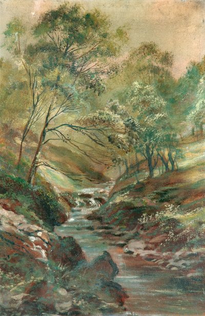 Ruisseau à travers un bois - Unknown