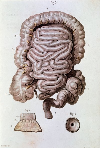 Étude de l